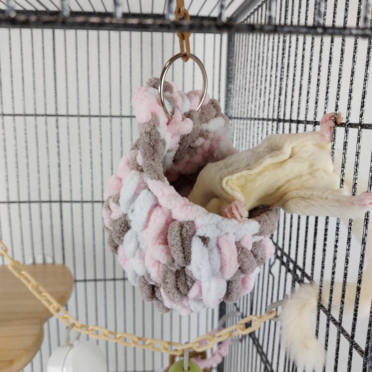 フクロモモンガ用　おもちゃ