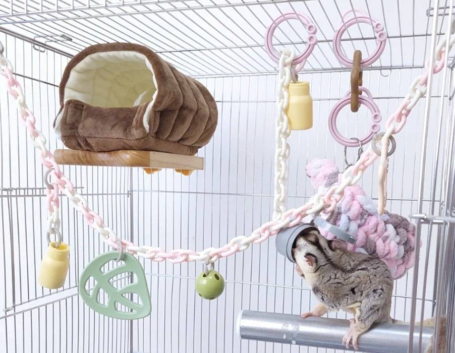 フクロモモンガ　おもちゃ