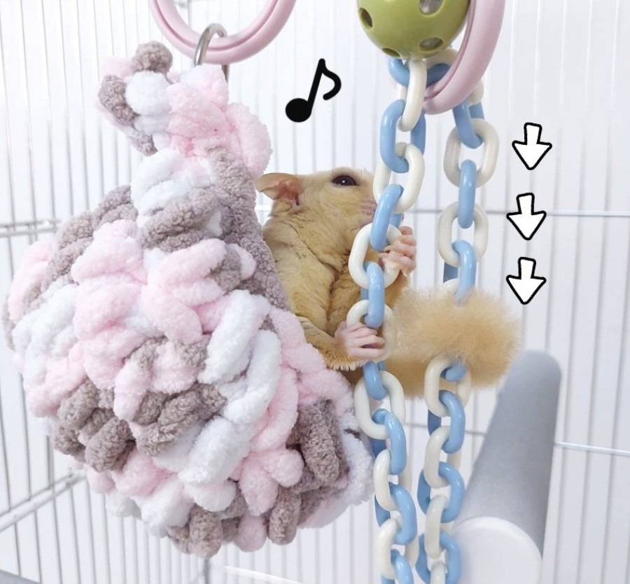 フクロモモンガ　おもちゃ