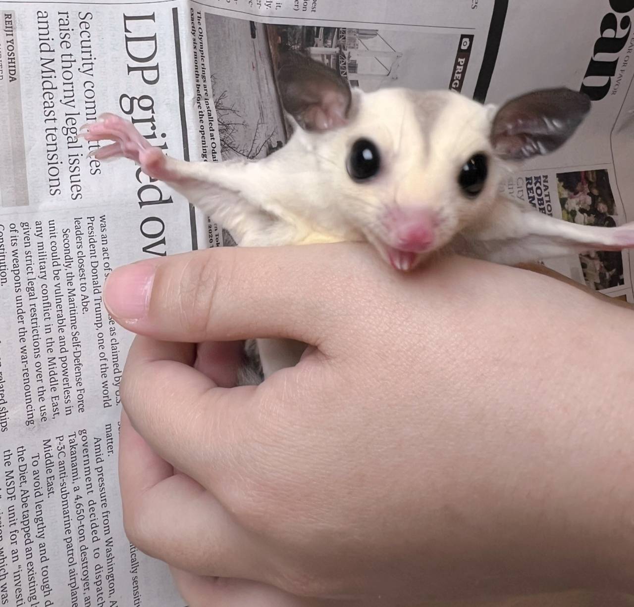 おむかえがきまりました