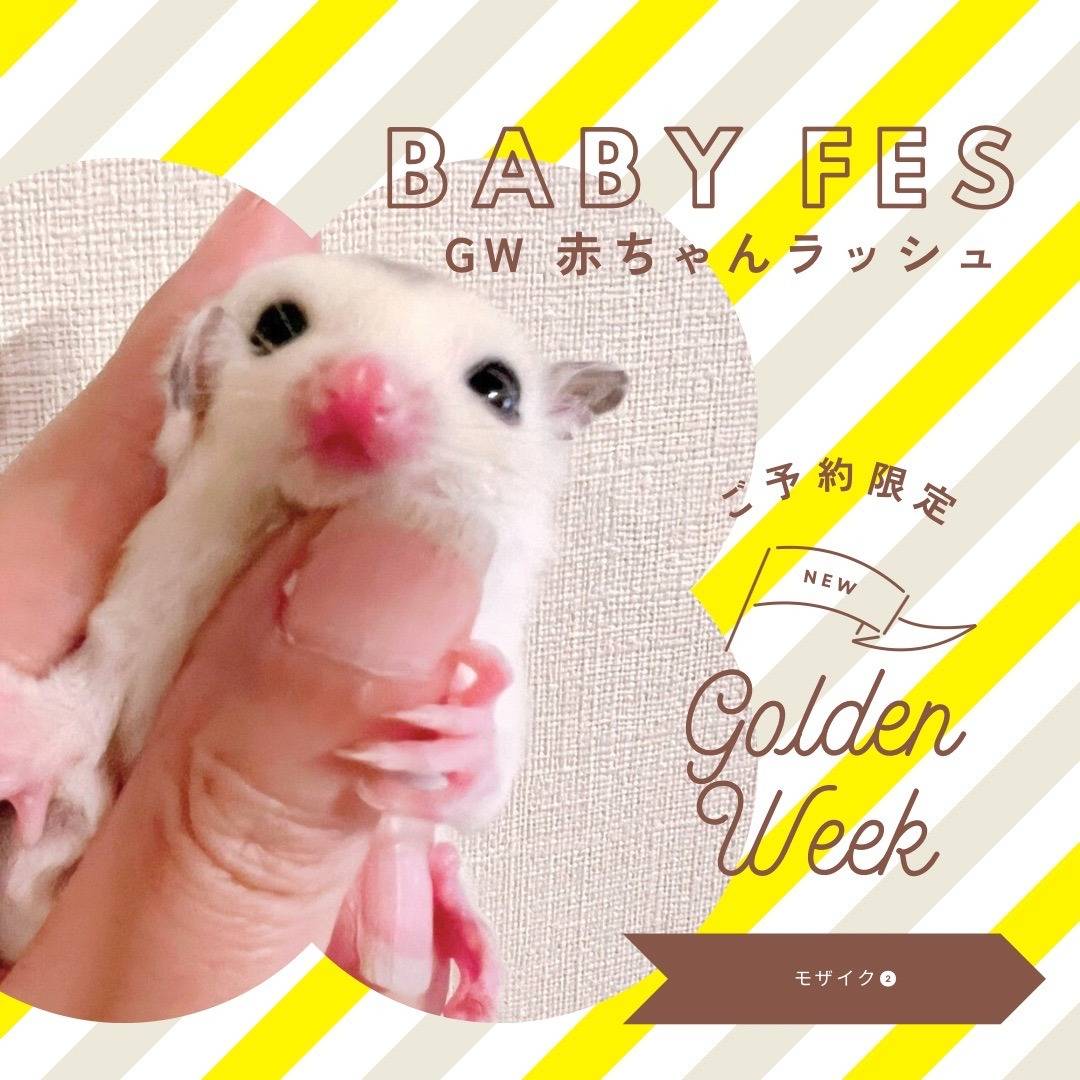 おむかえがきまりました