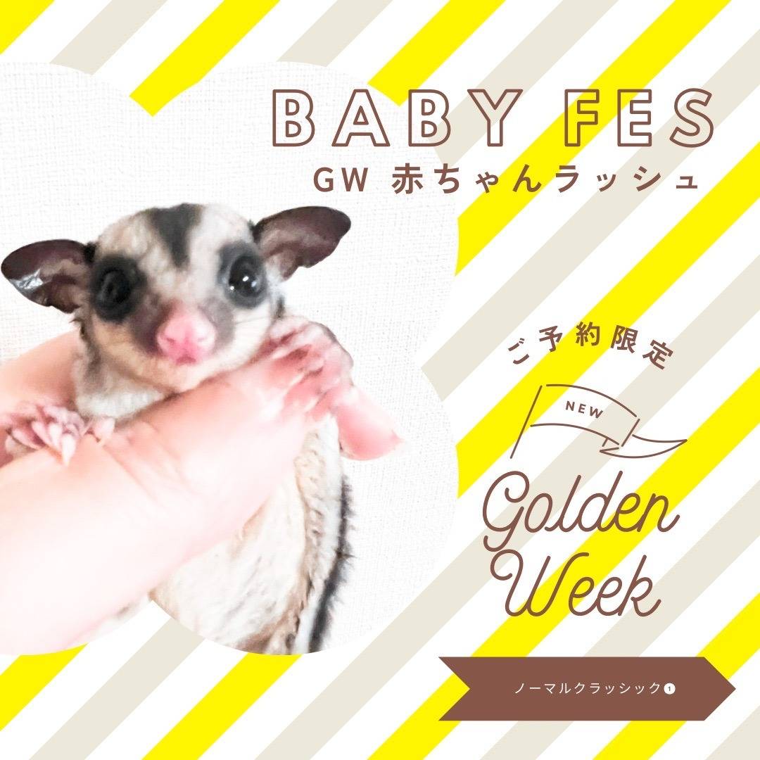 おむかえきまりました