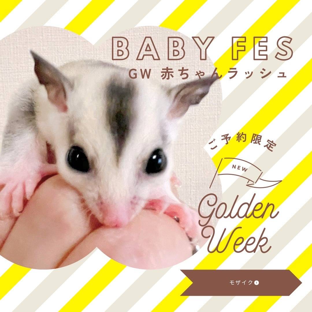 おむかえがきまりました