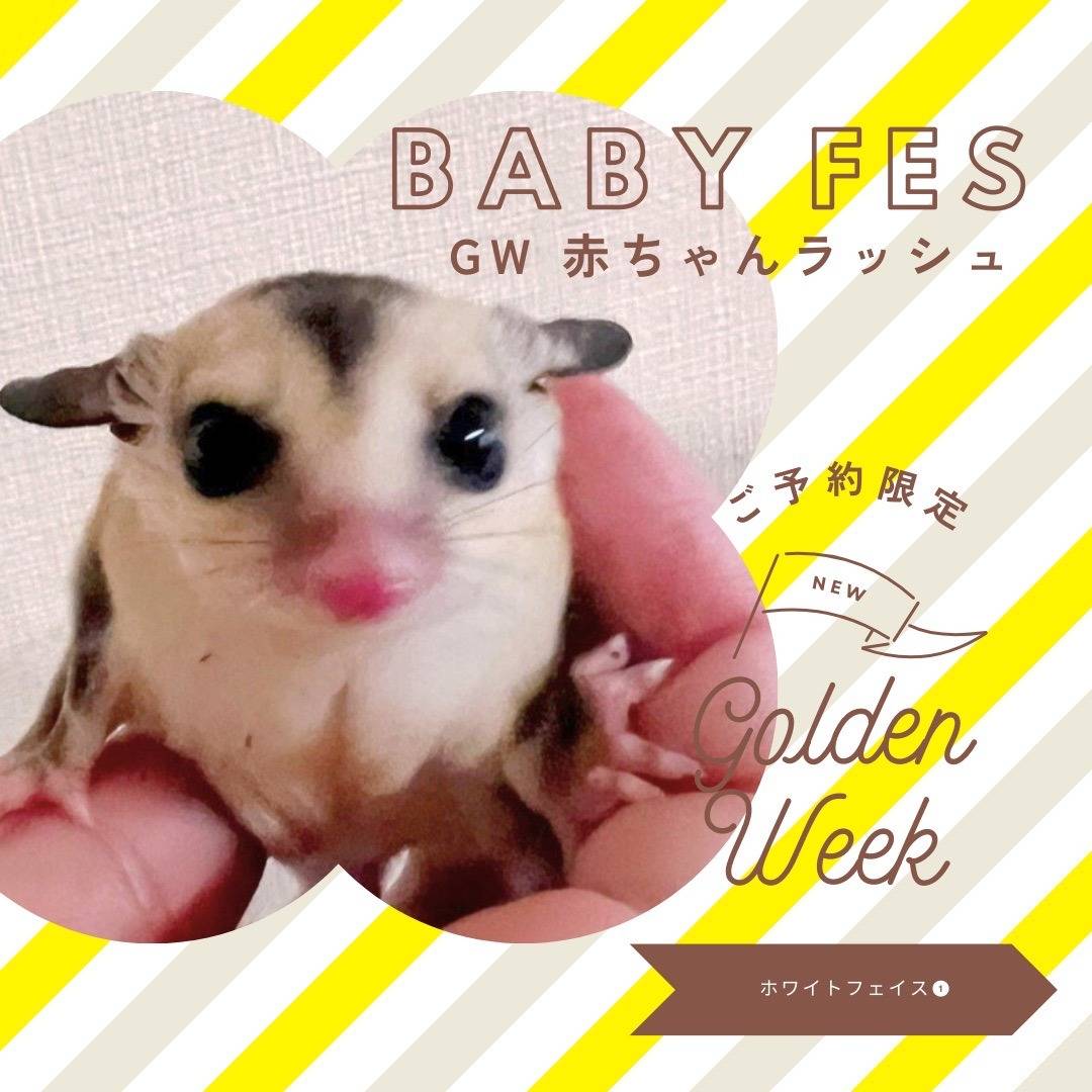 おむかえがきまりました