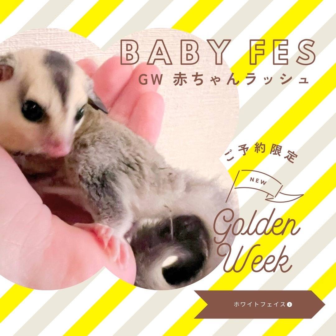 おむかえがきまりました