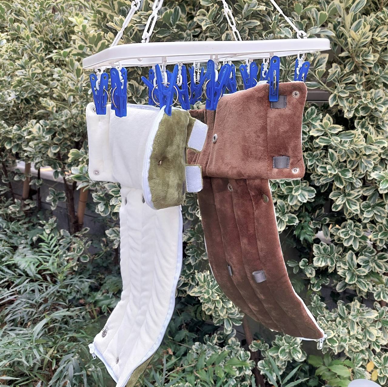 フクロモモンガ　飼育　必要なもの