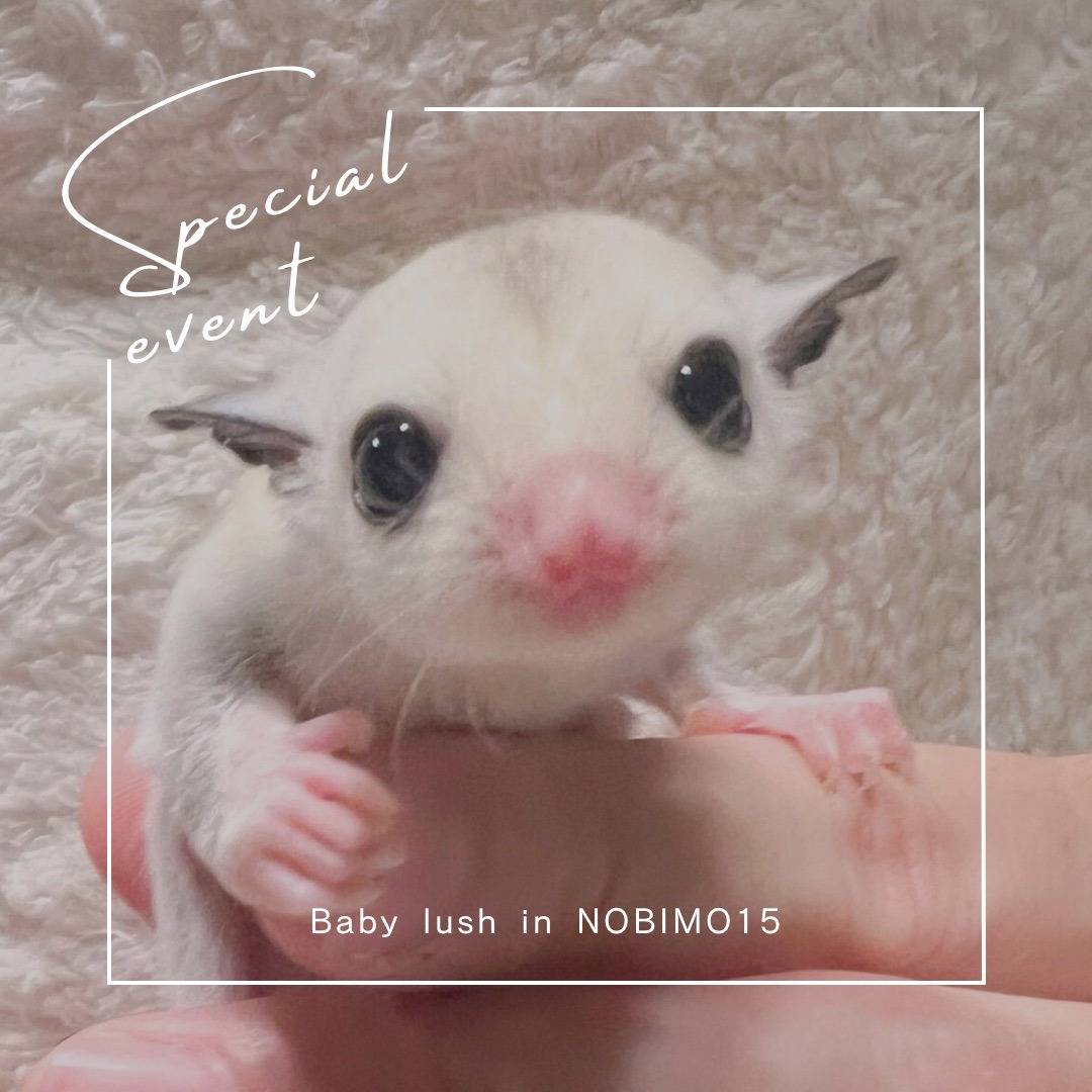 エントリーNo.９お迎えがきまりました