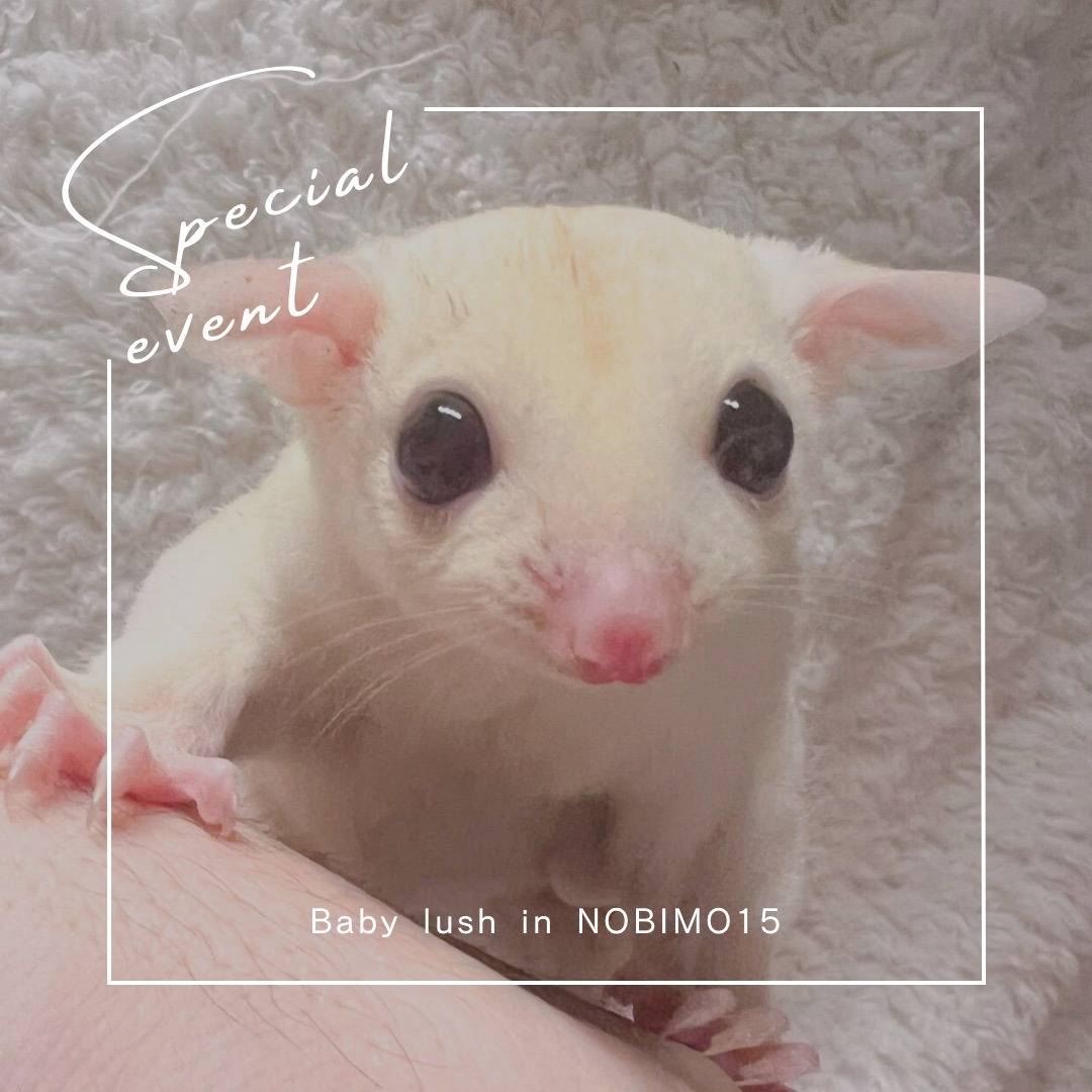 エントリーNo.８　おむかえがきまりました