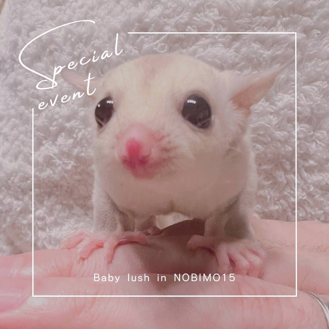 エントリーNo.６おむかえがきまりました