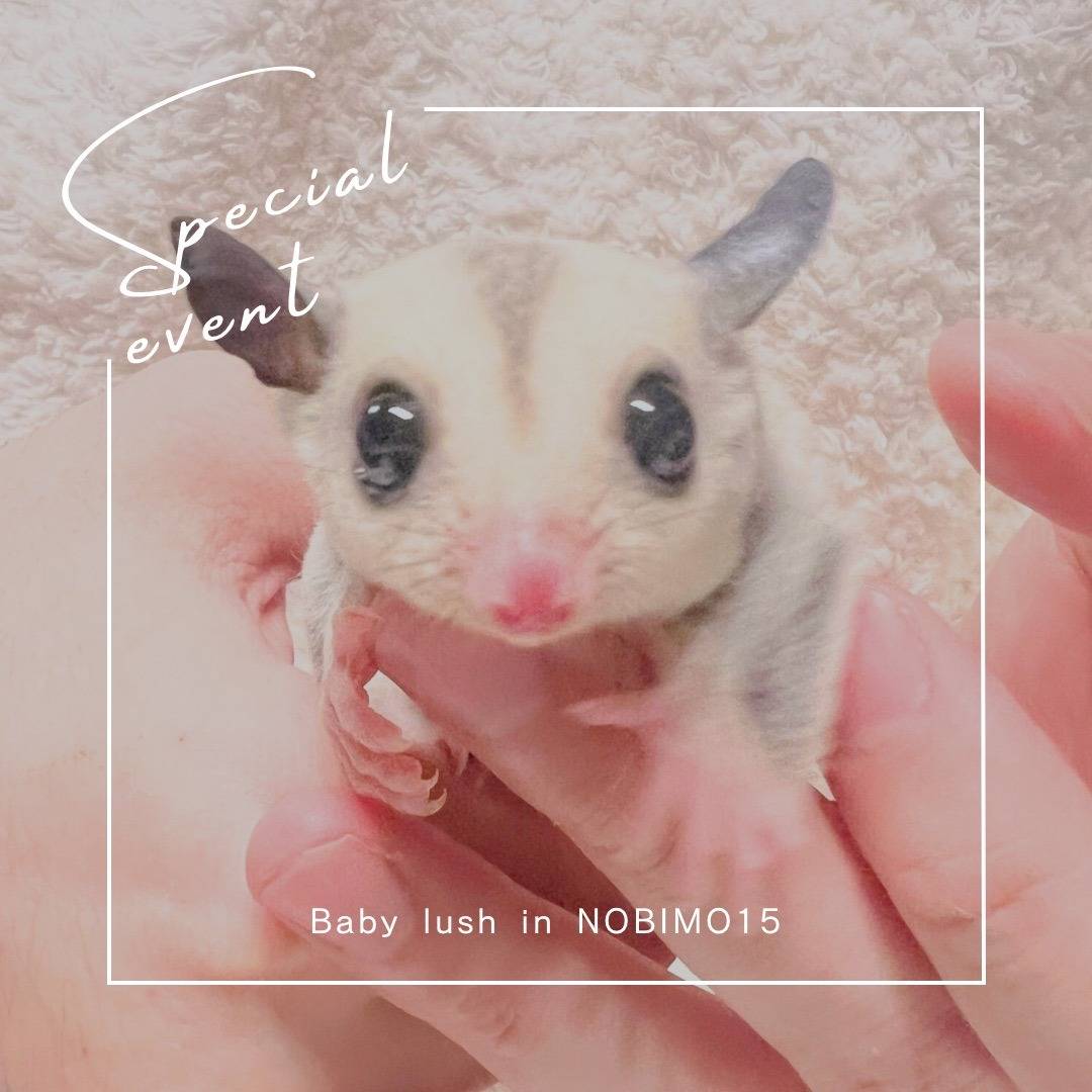 エントリーNo.５　おむかえがきまりました