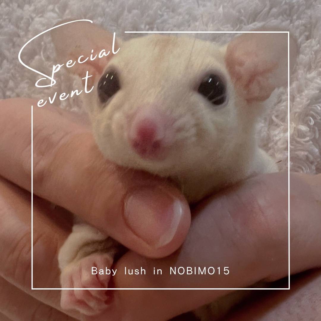 おむかえがきまりました