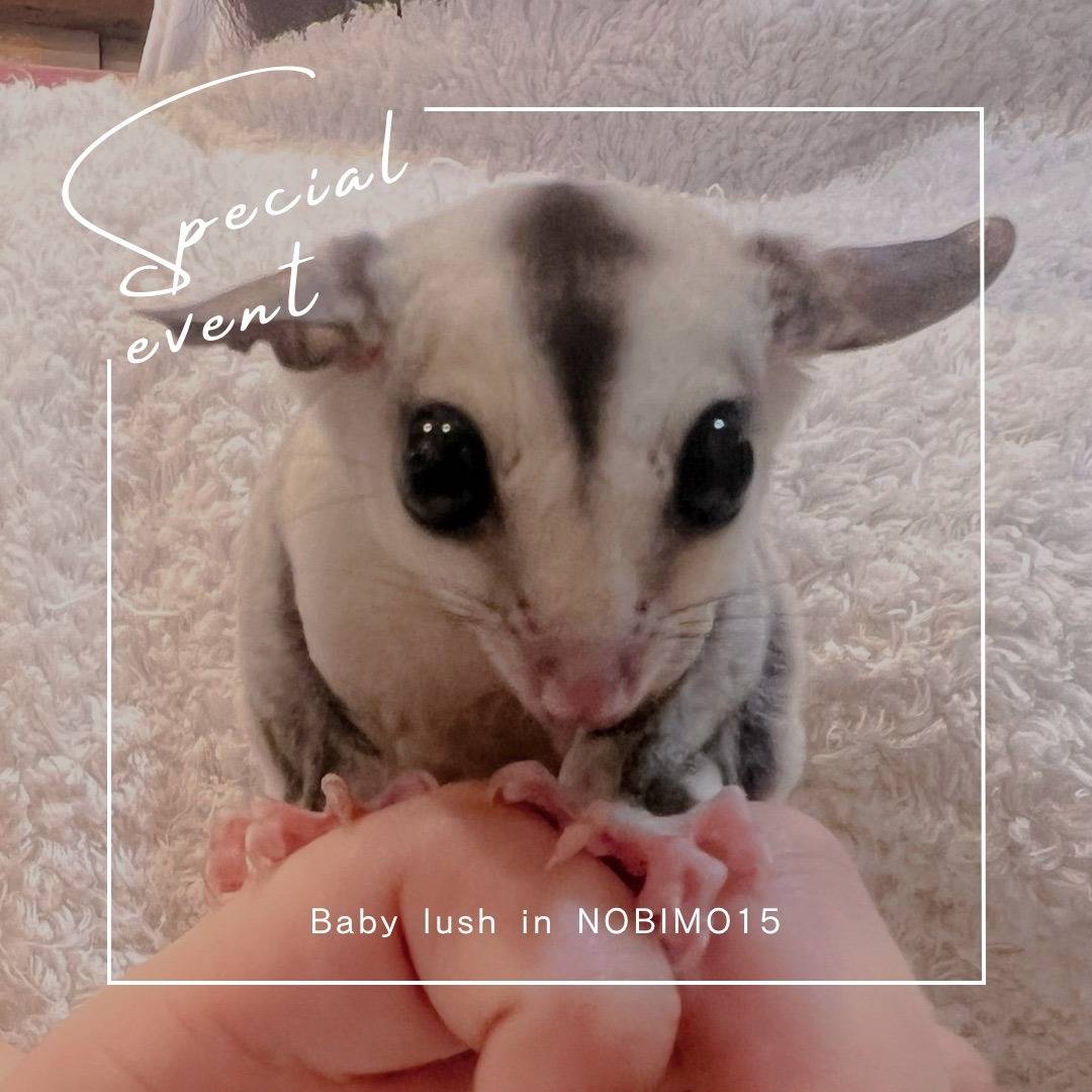 エントリーNo.1　おむかえがきまりました