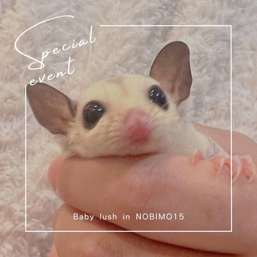 エントリーNo.２　おむかえがきまりました