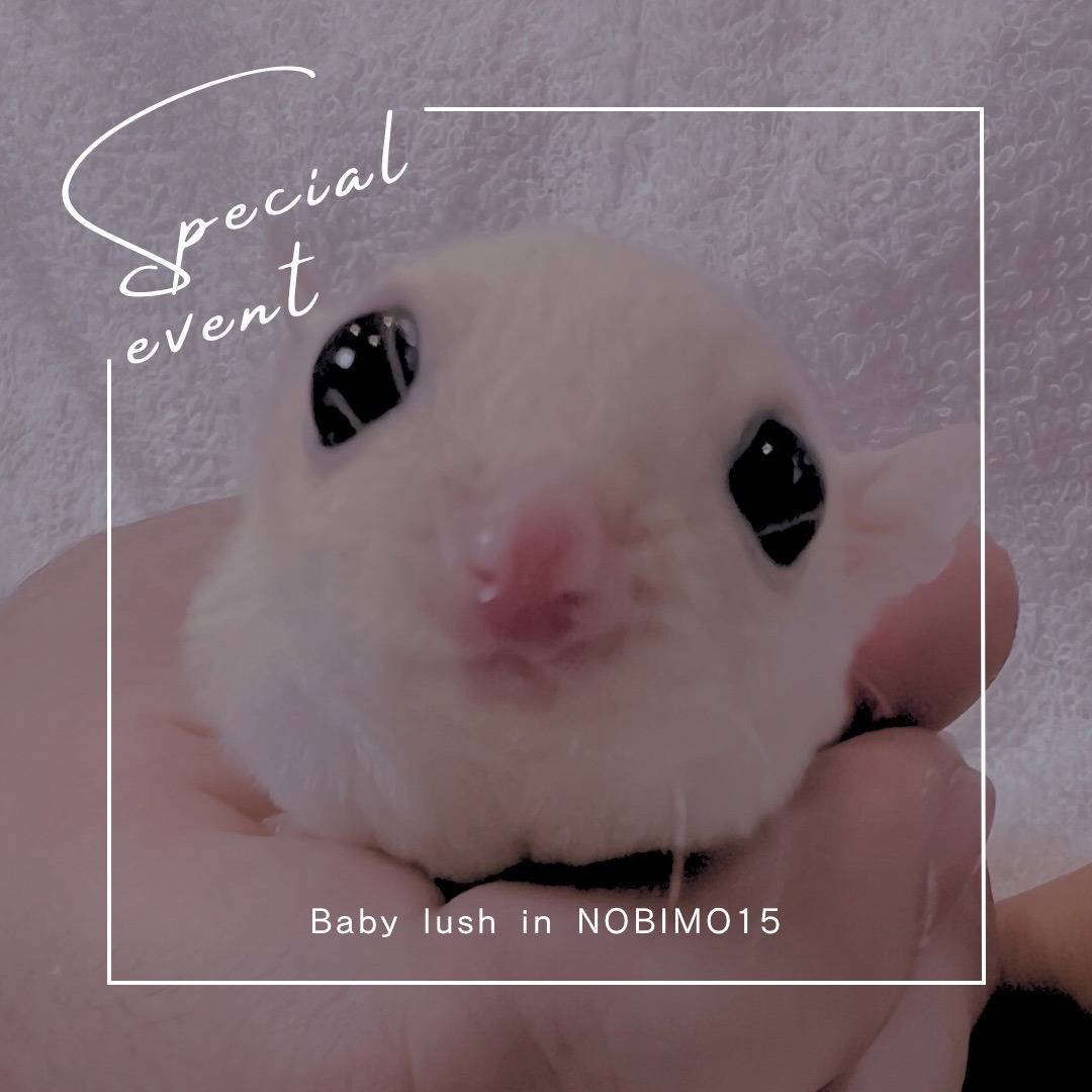 エントリーNo.14おむかえがきまりました