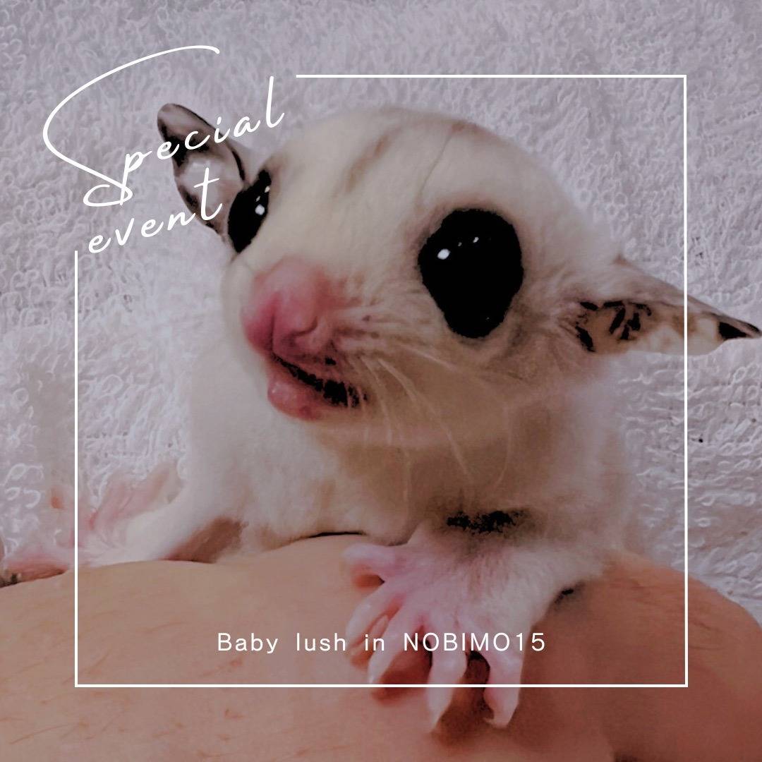 エントリーNo.15おむかえがきまりました