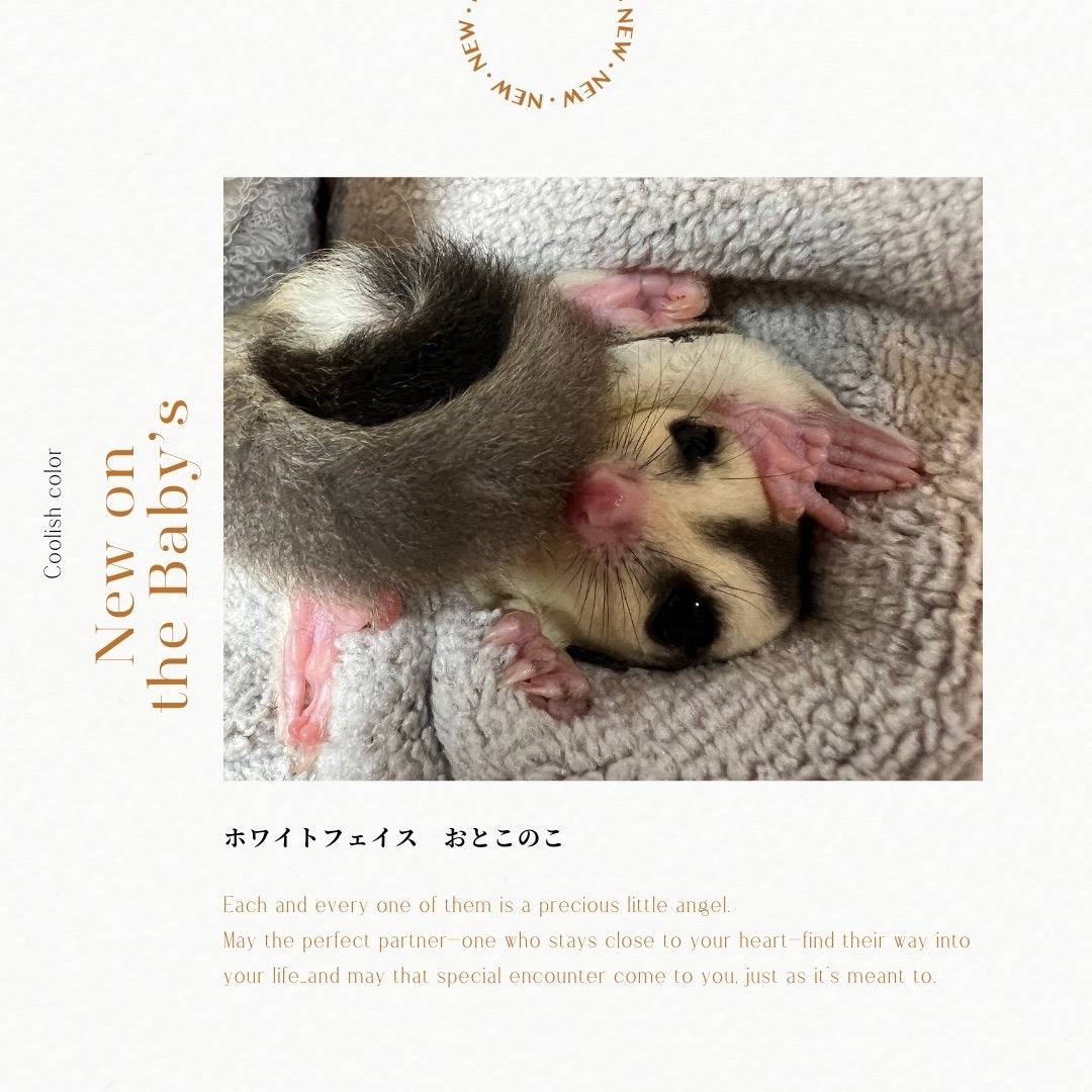 おむかえがきまりました