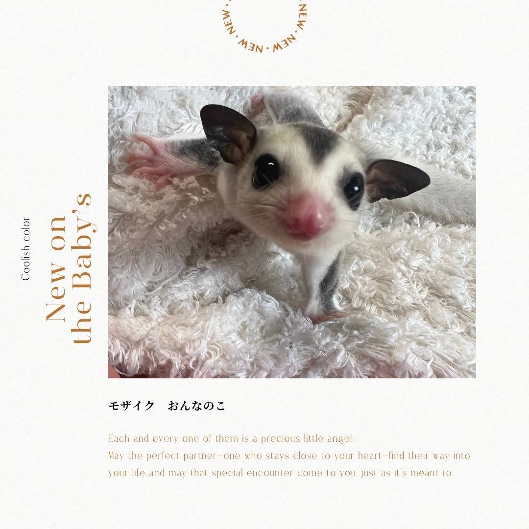 おむかえがきまりました