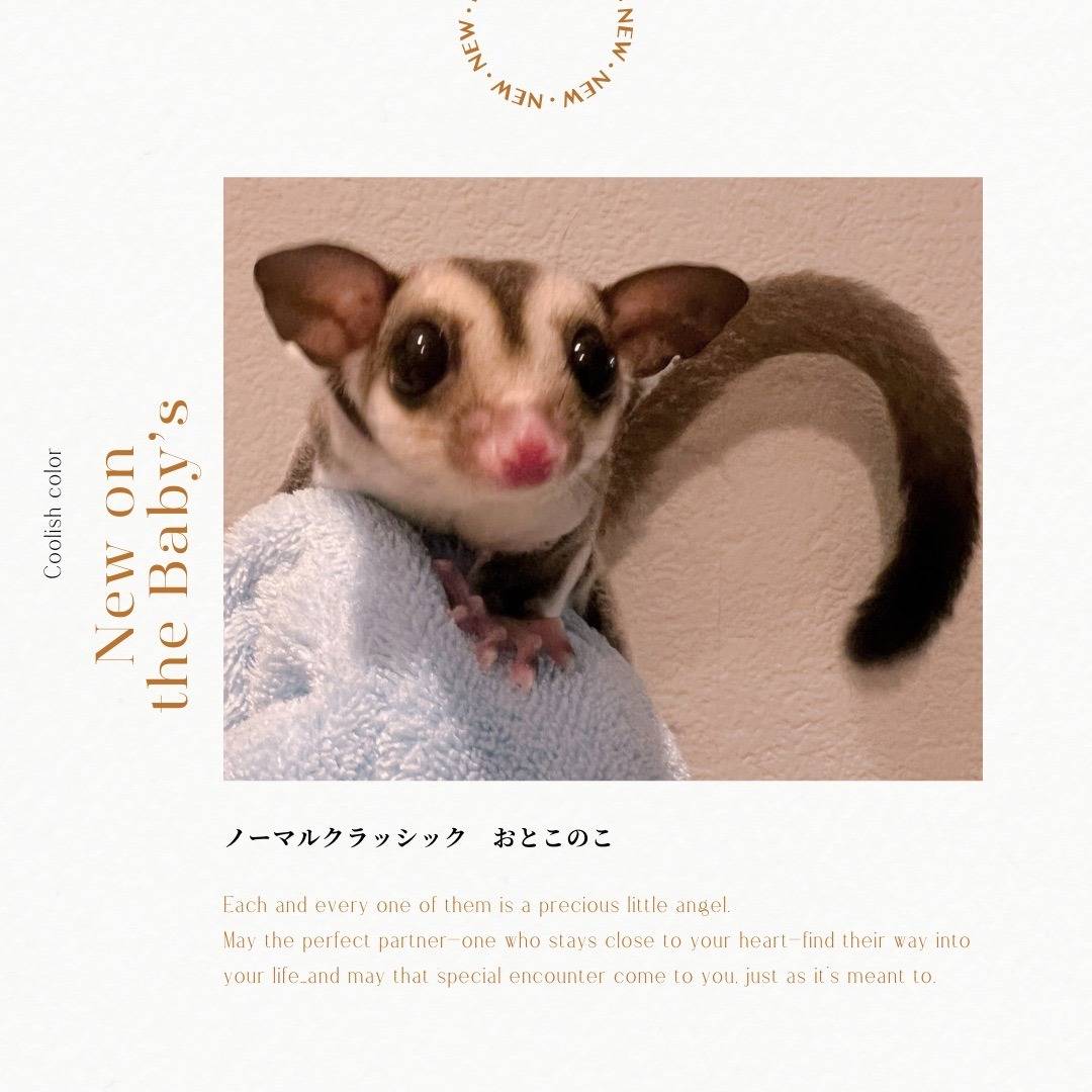 おむかえがきまりました