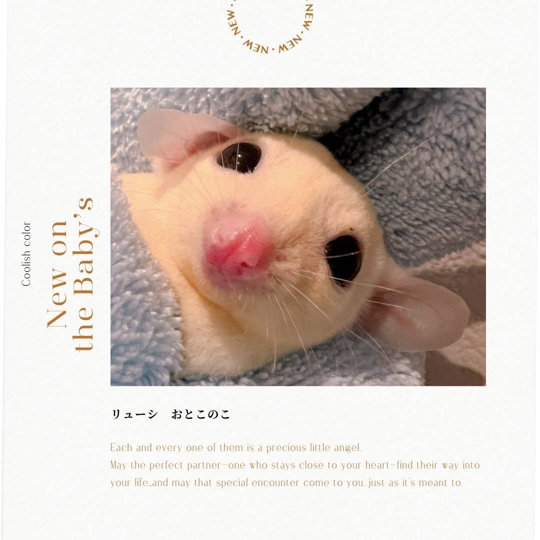 おむかえがきまりました