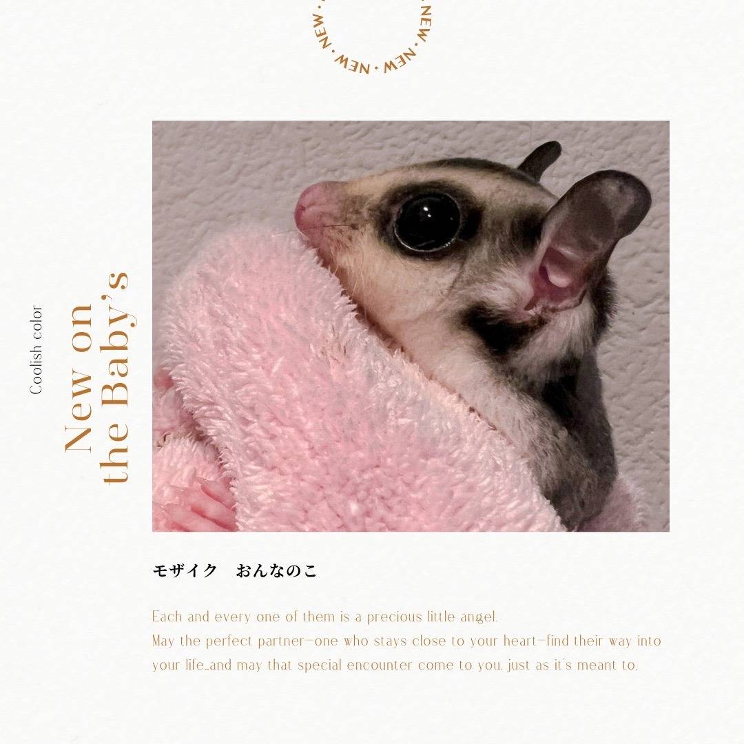 おむかえがきまりました