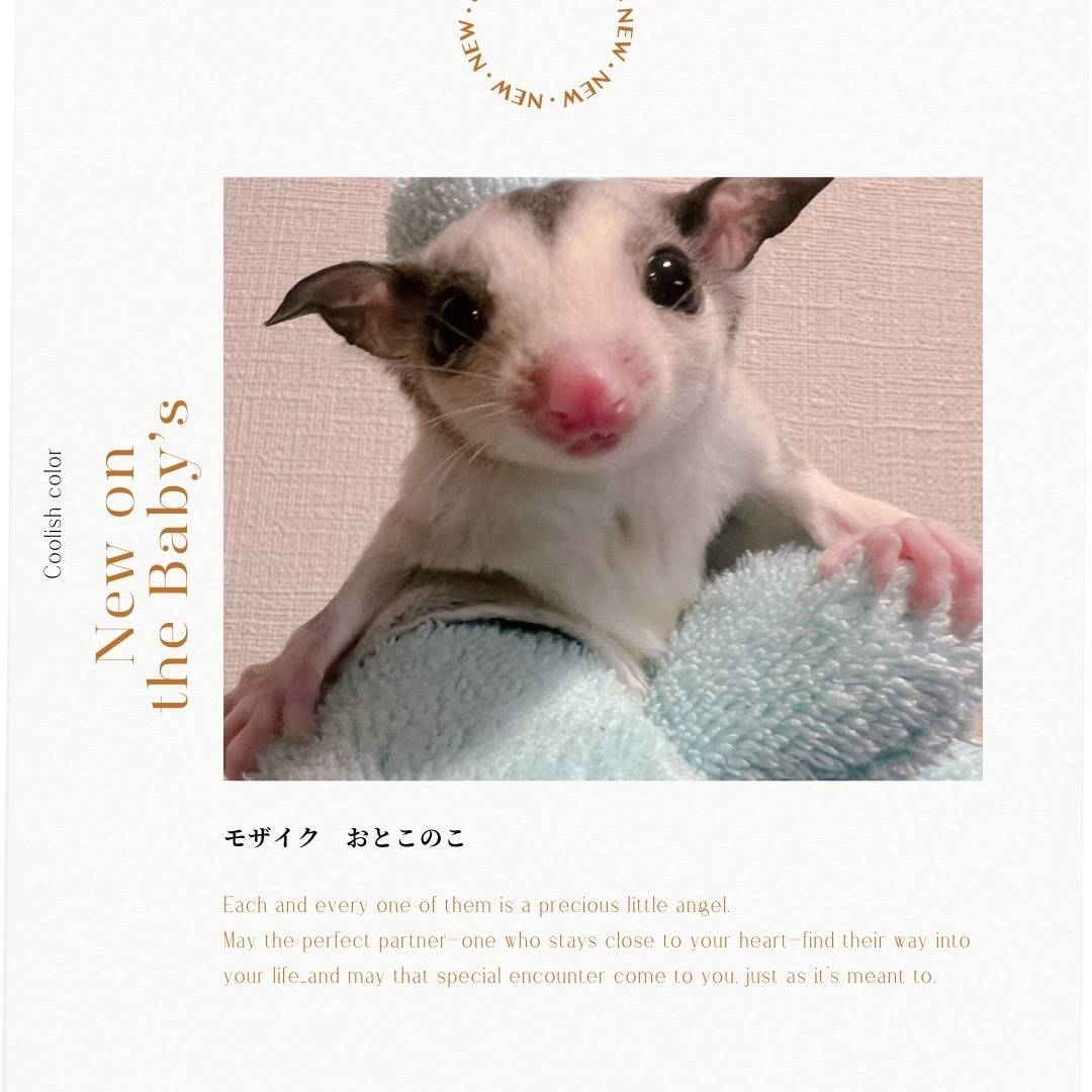 おむかえがきまりました