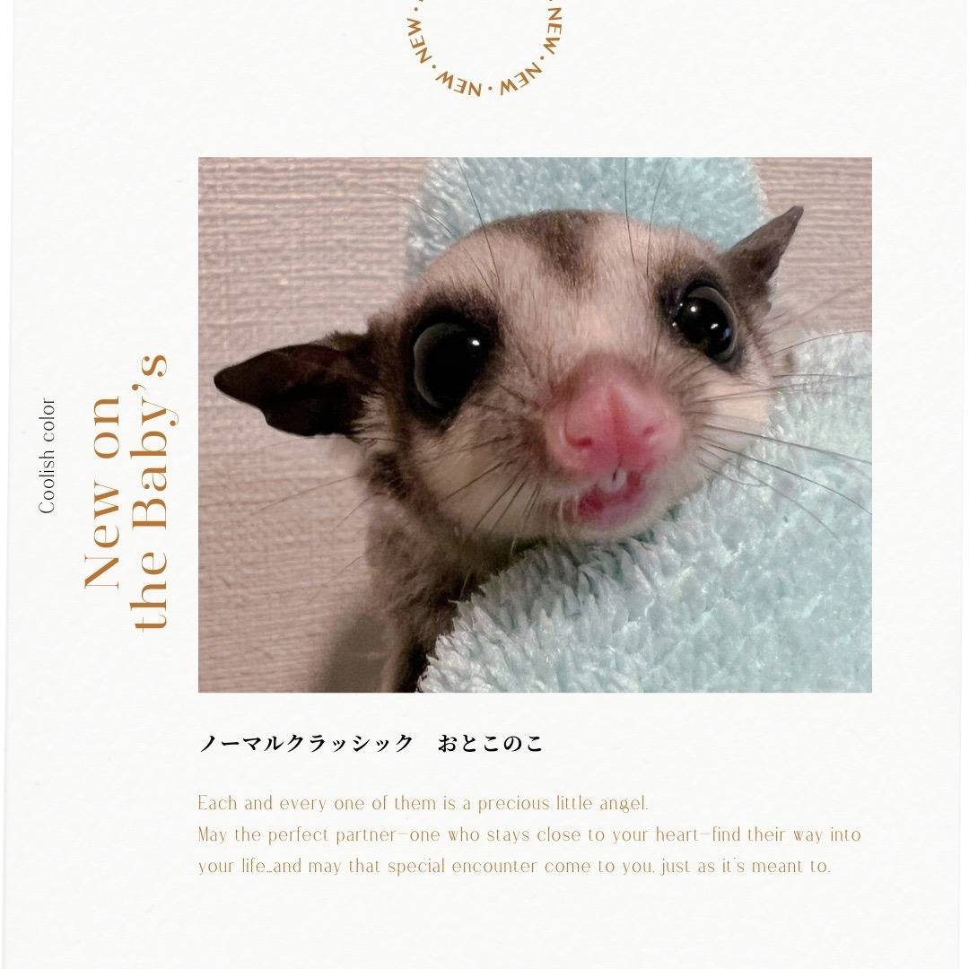 おむかえがきまりました