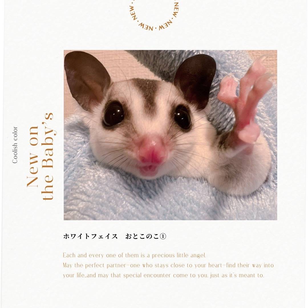 おむかえがきまりました