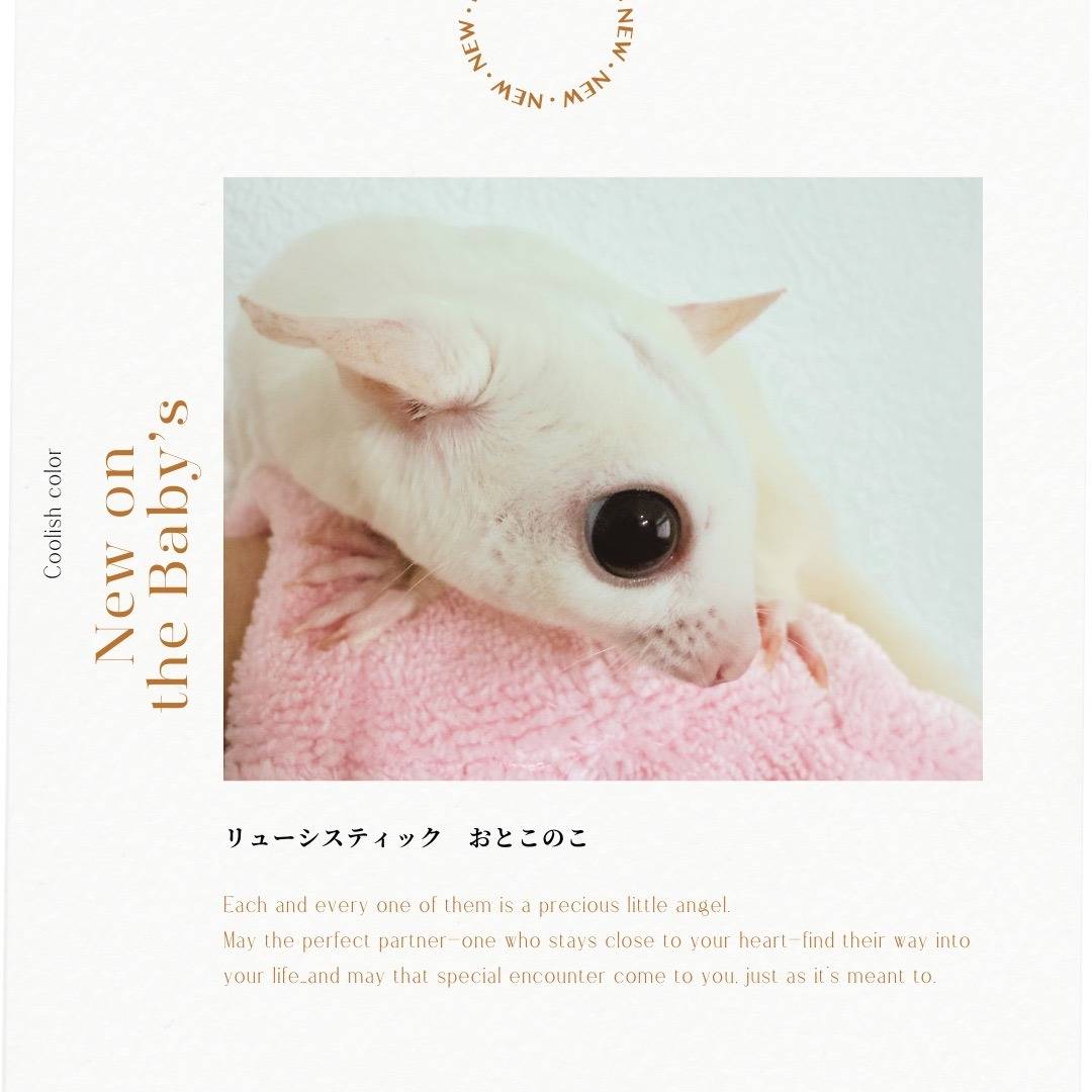 おむかえがきまりました