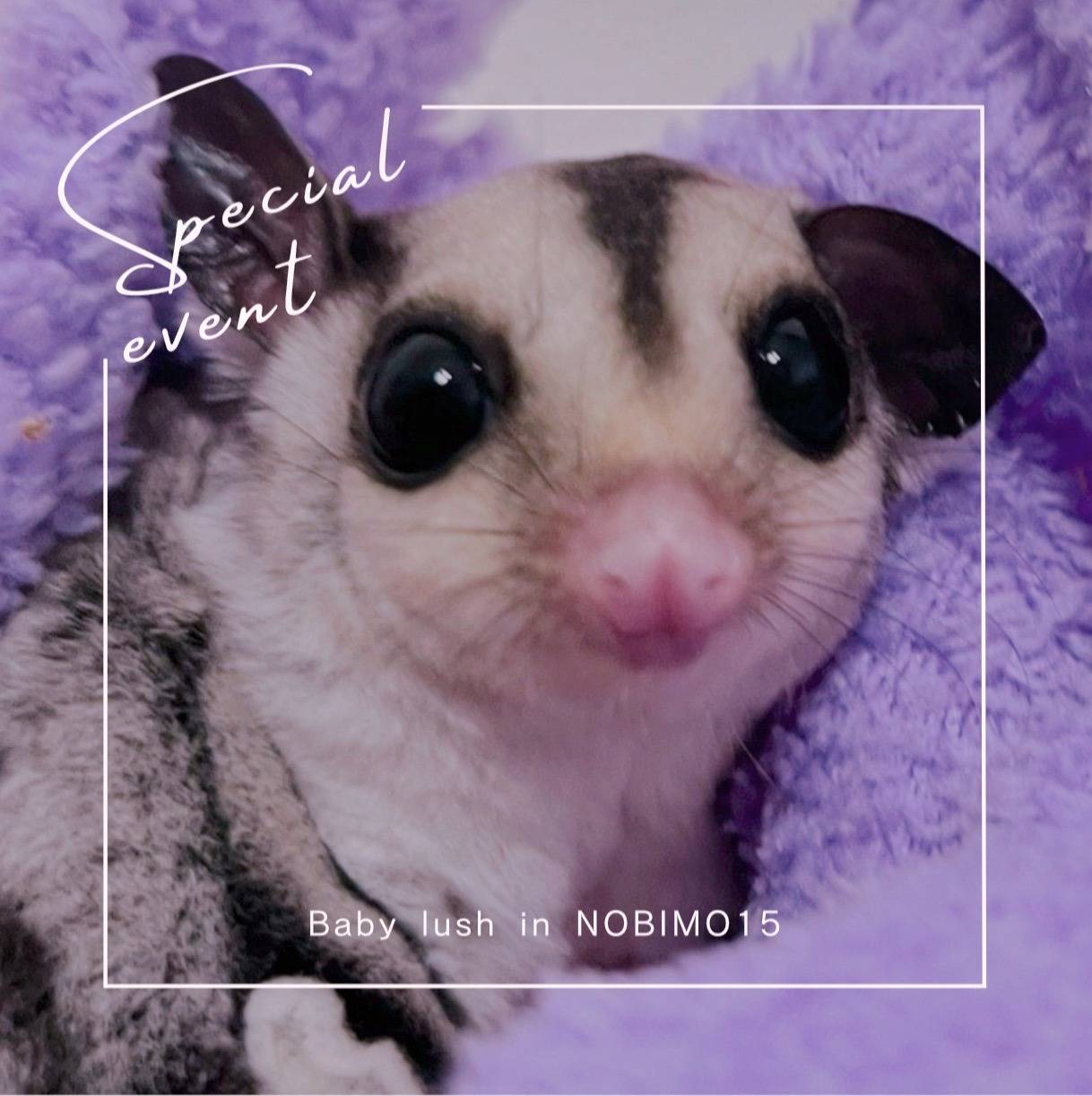 おむかえがきまりました