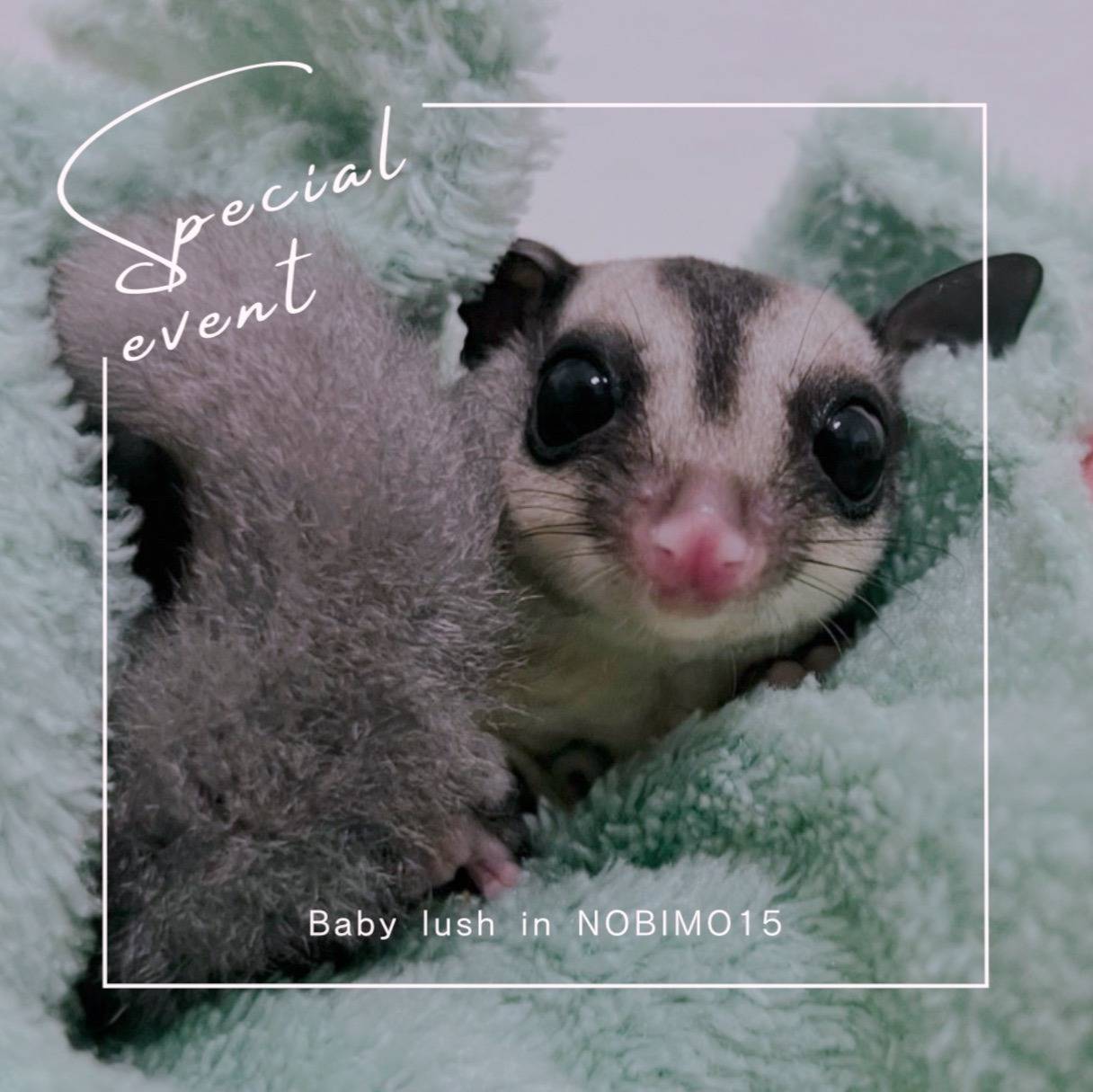 おむかえがきまりました