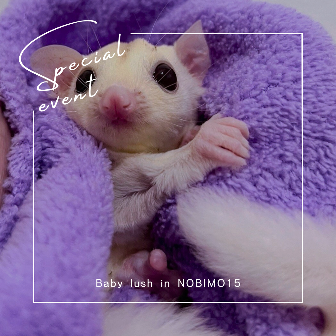 おむかえがきまりました