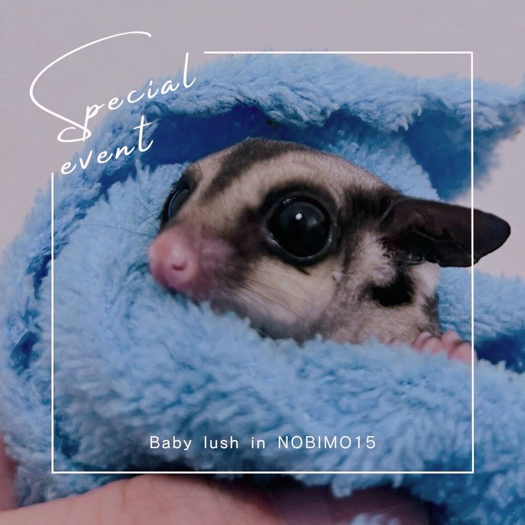 おむかえがきまりました