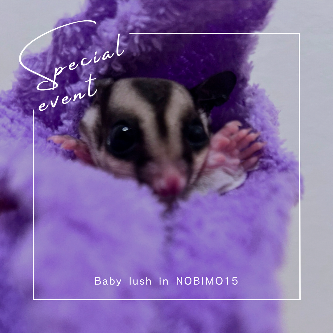 おむかえがきまりました