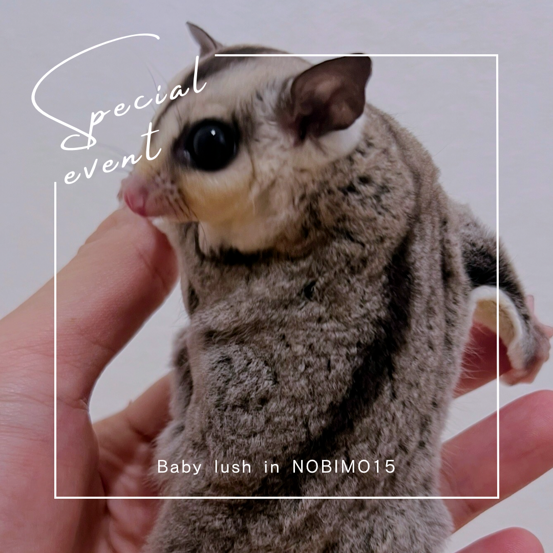 おむかえがきまりました