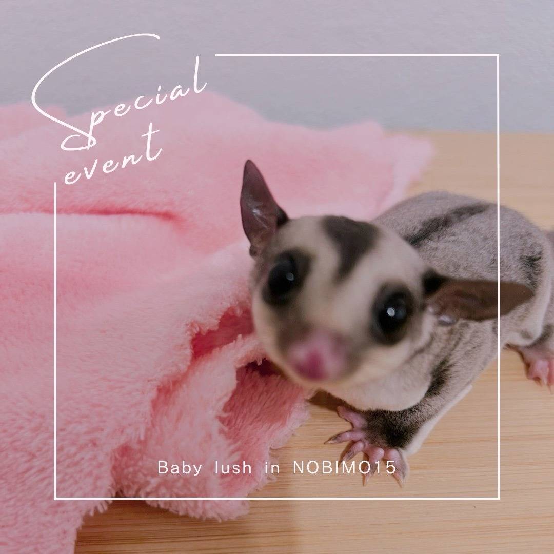 おむかえがきまりました