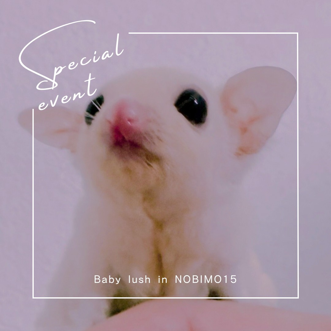 おむかえがきまりました