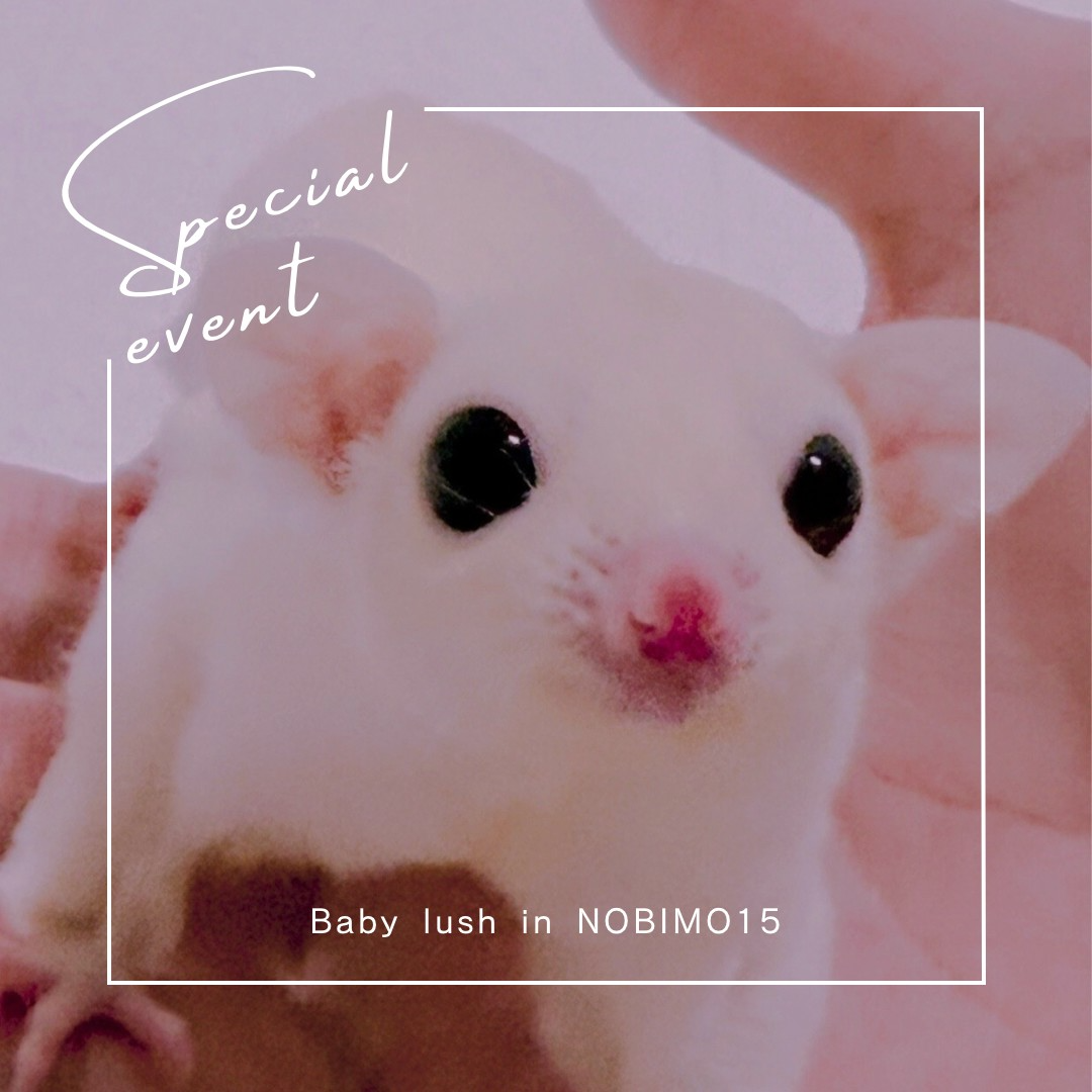 おむかえがきまりました