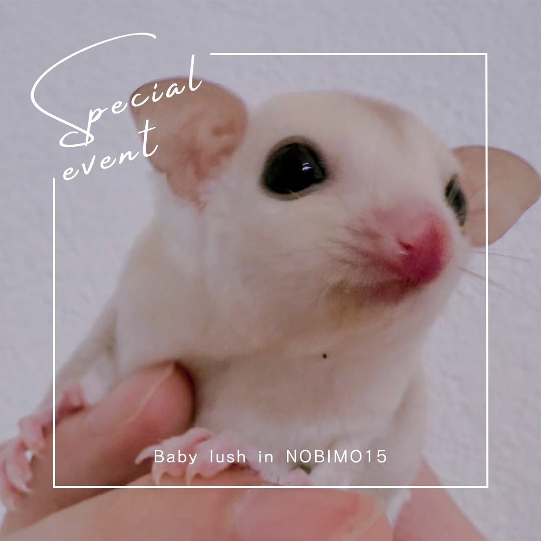 おむかえがきまりました