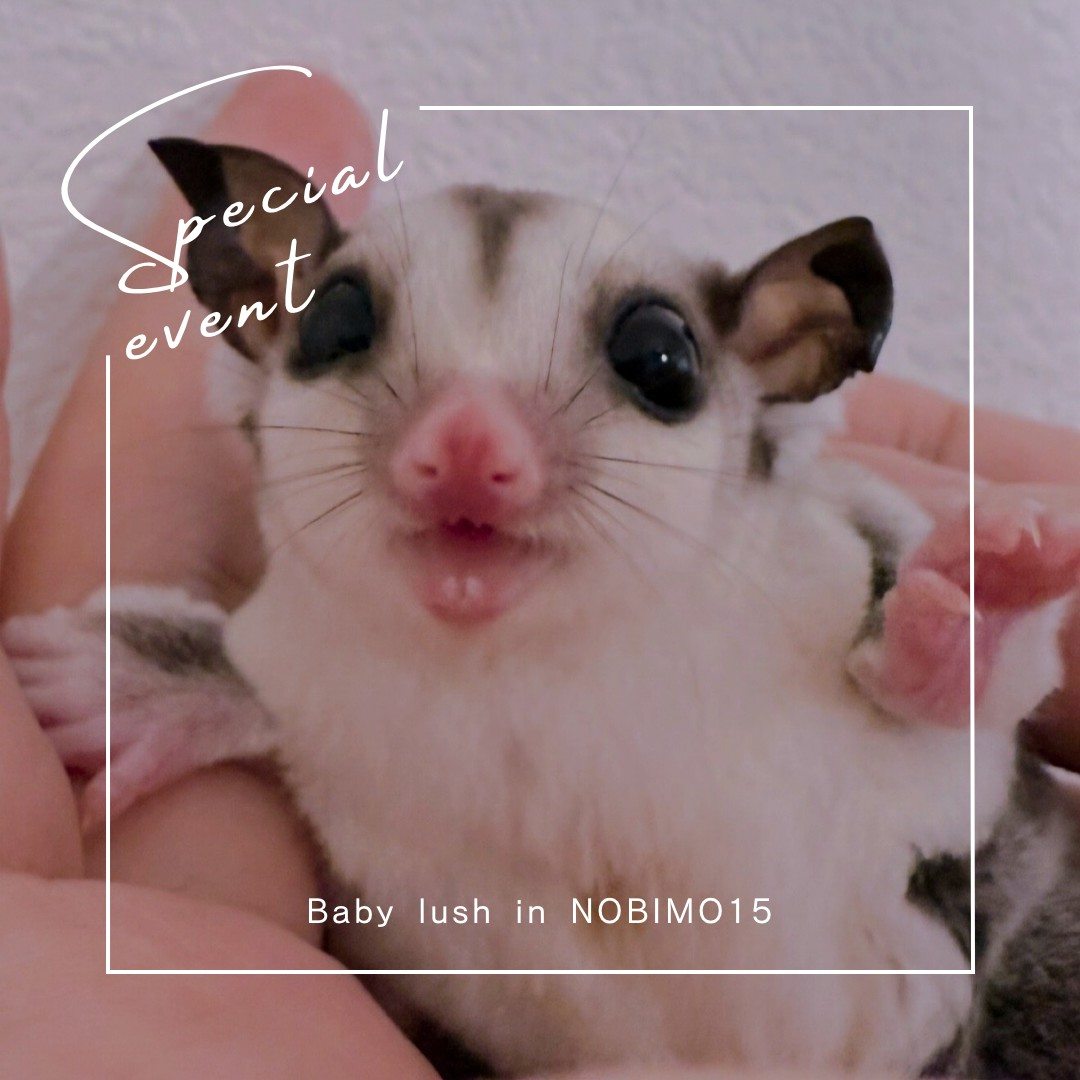 おむかえがきまりました