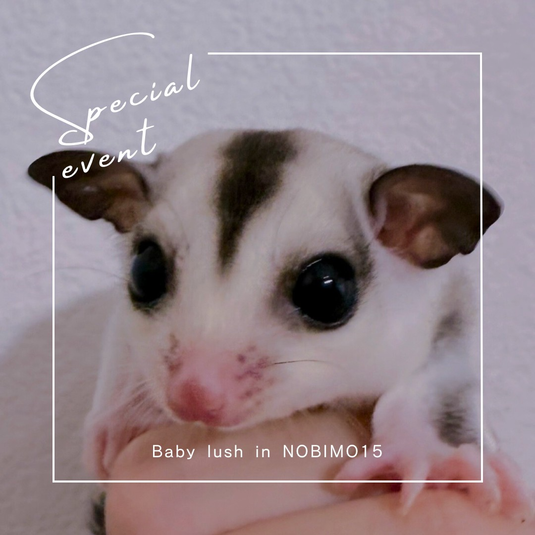 おむかえがきまりました