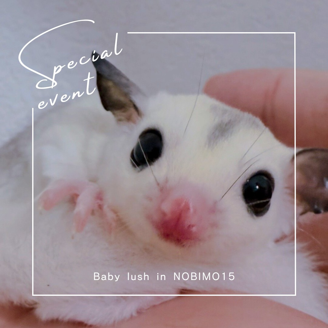 おむかえがきまりました