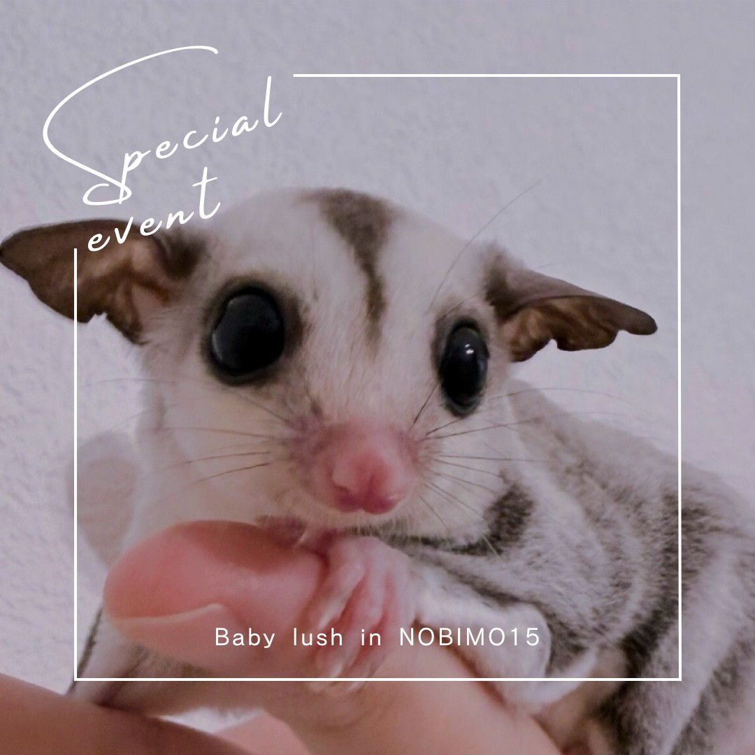 おむかえがきまりました