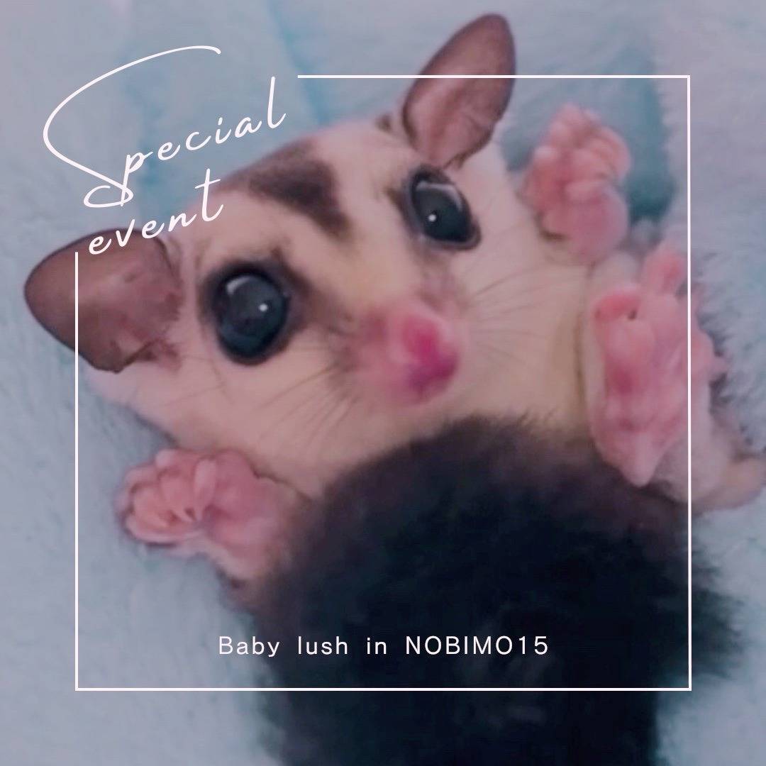 おむかえがきまりました