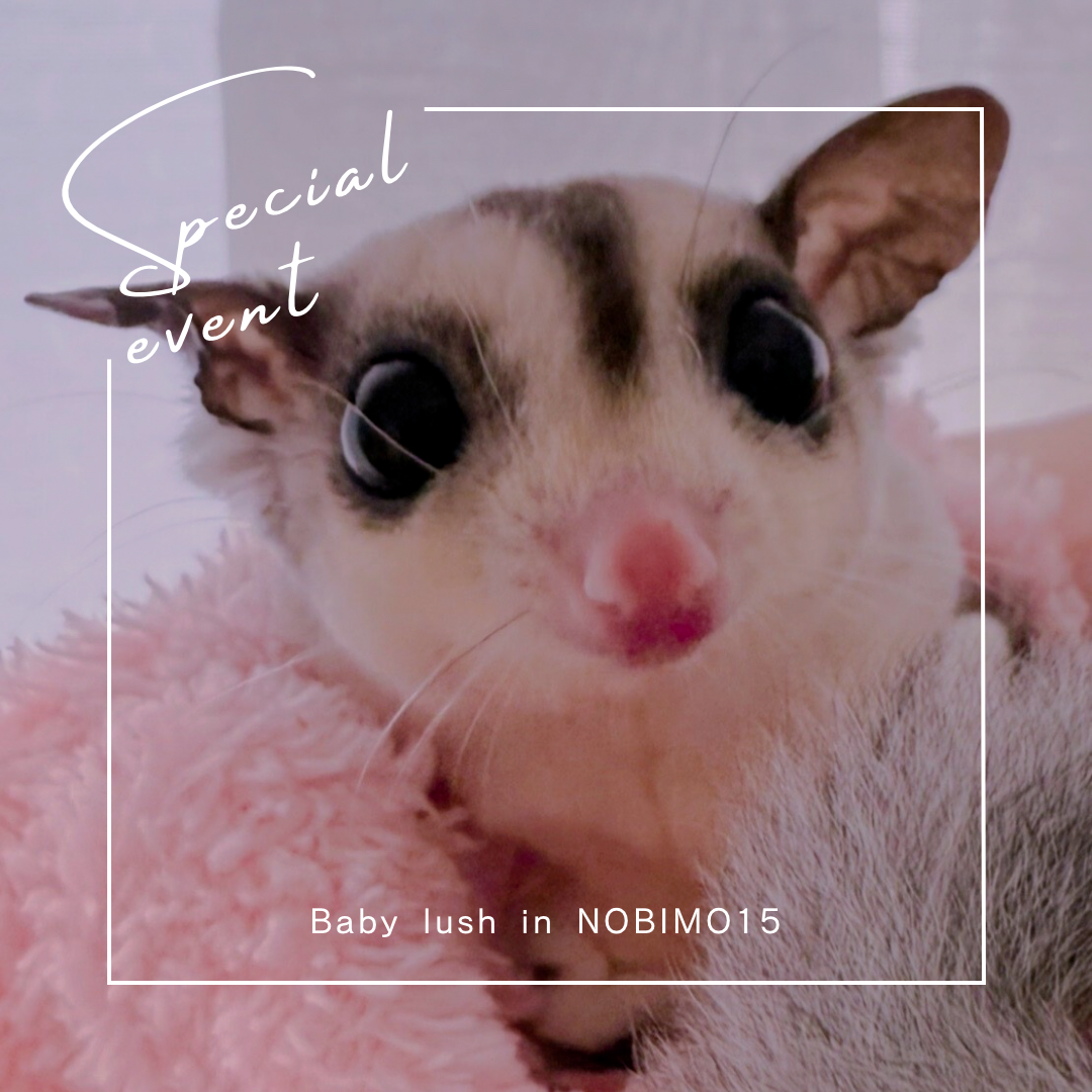 おむかえがきまりました