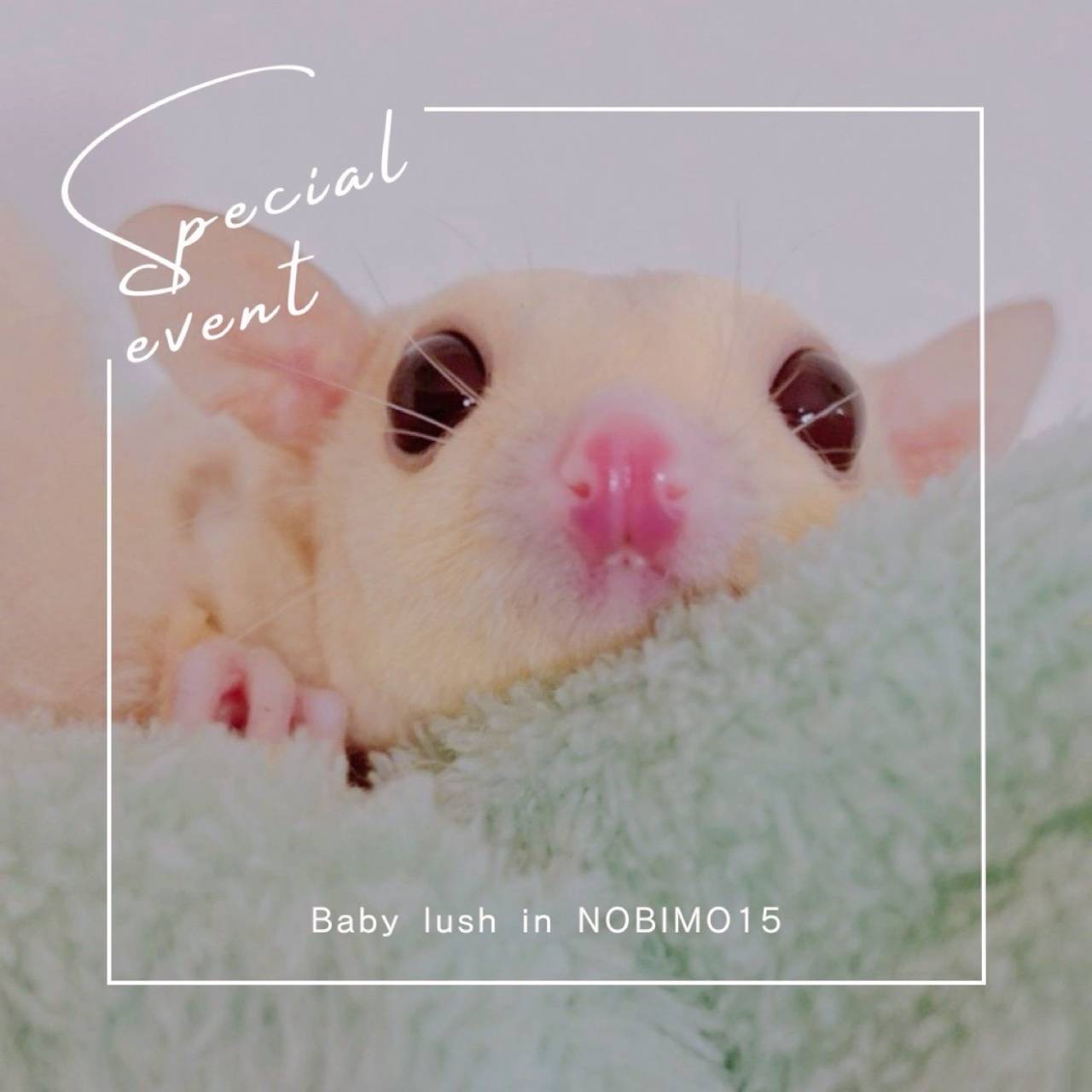 おむかえがきまりました