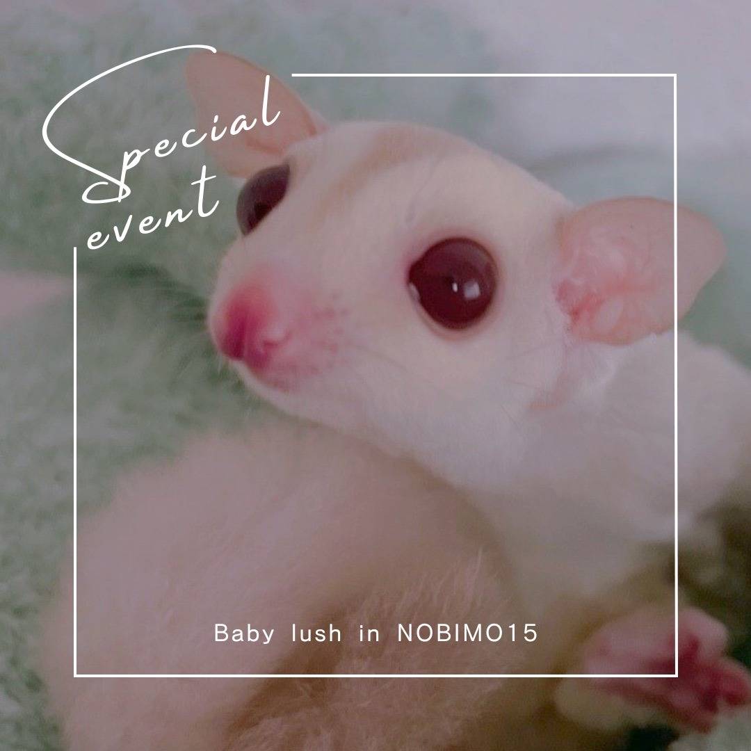 おむかえがきまりました