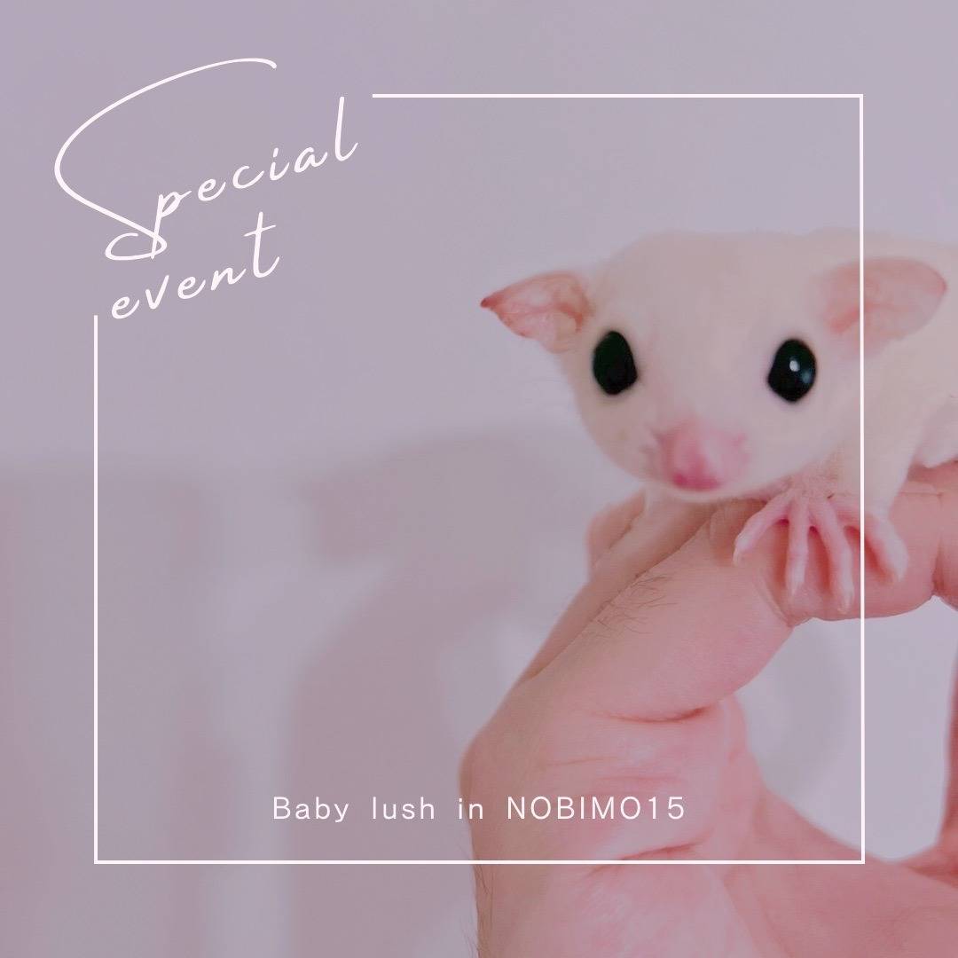 おむかえがきまりました