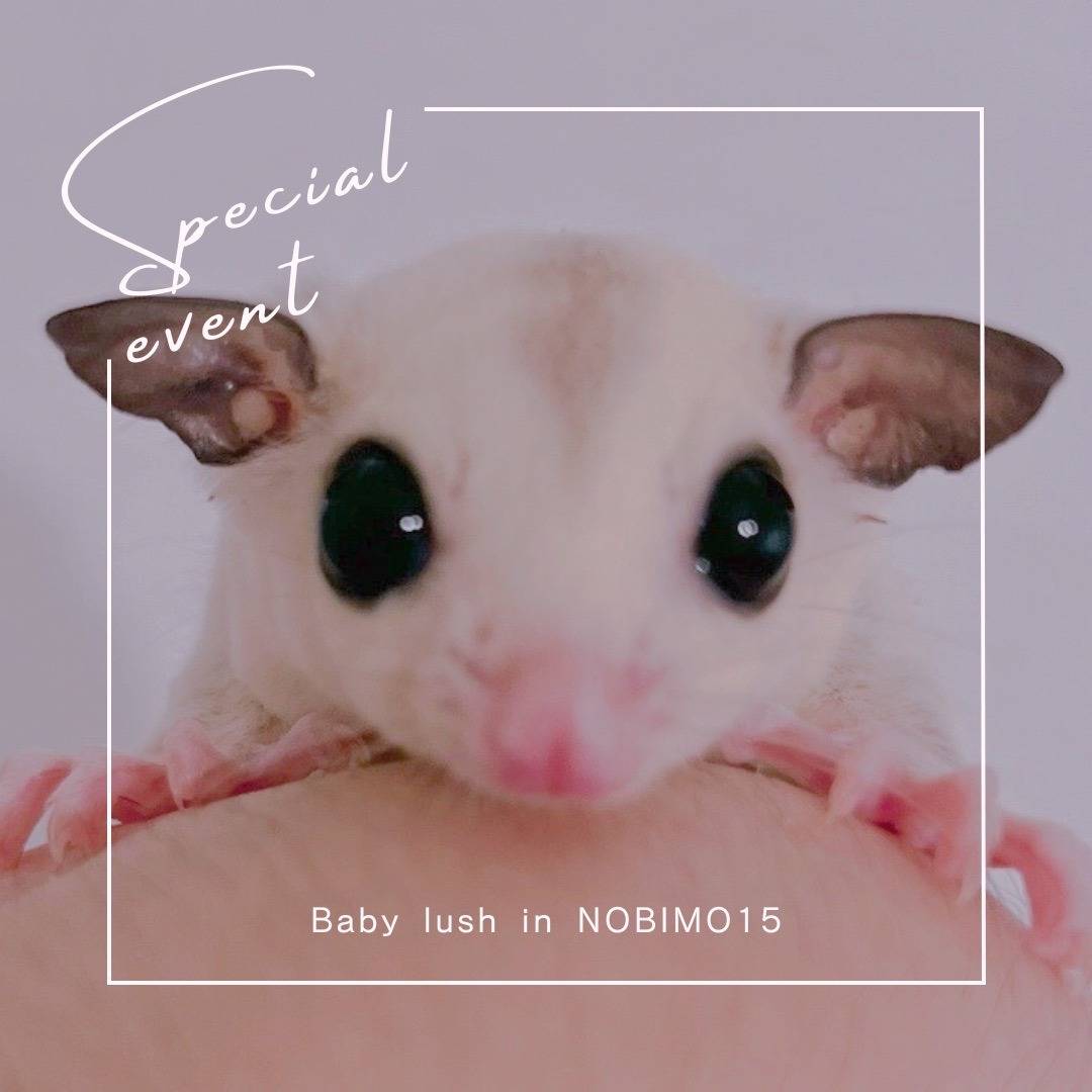 おむかえがきまりました