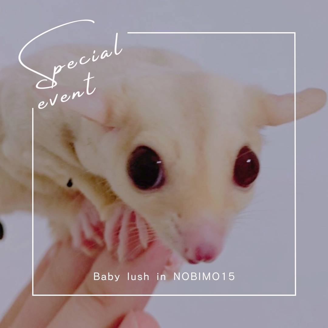 おむかえがきまりました