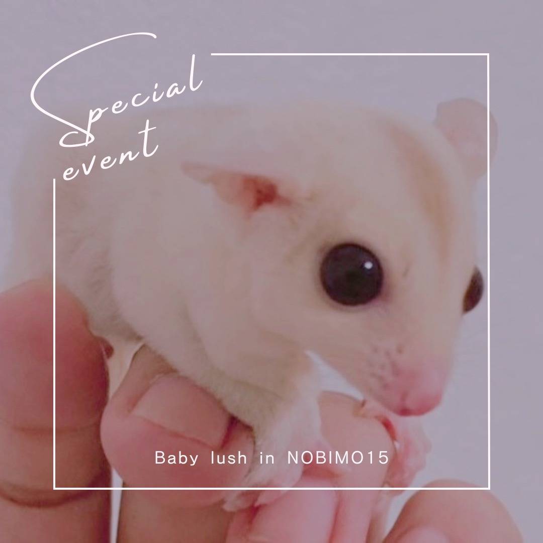 おむかえがきまりました